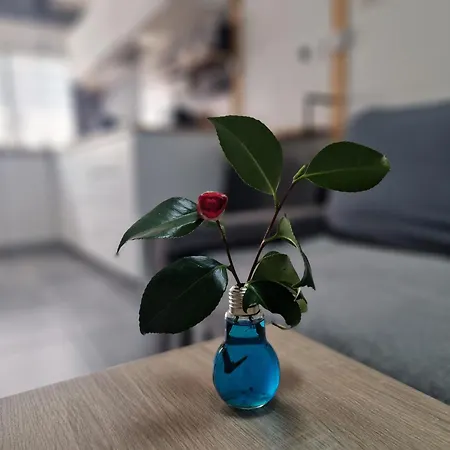 Gaedrehome * Thouaré-sur-Loire