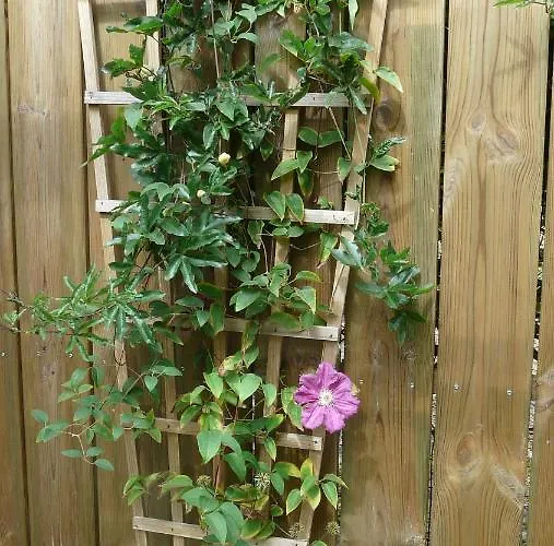 Hébergement de vacances Gaedrehome Thouaré-sur-Loire