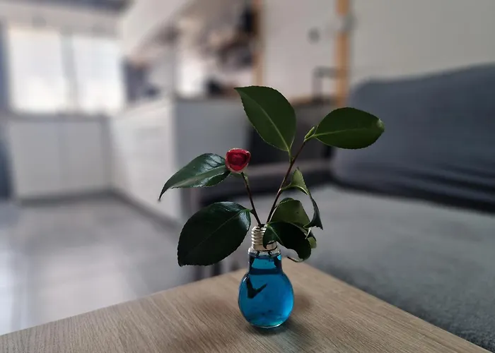 Gaedrehome * Thouare-sur-Loire